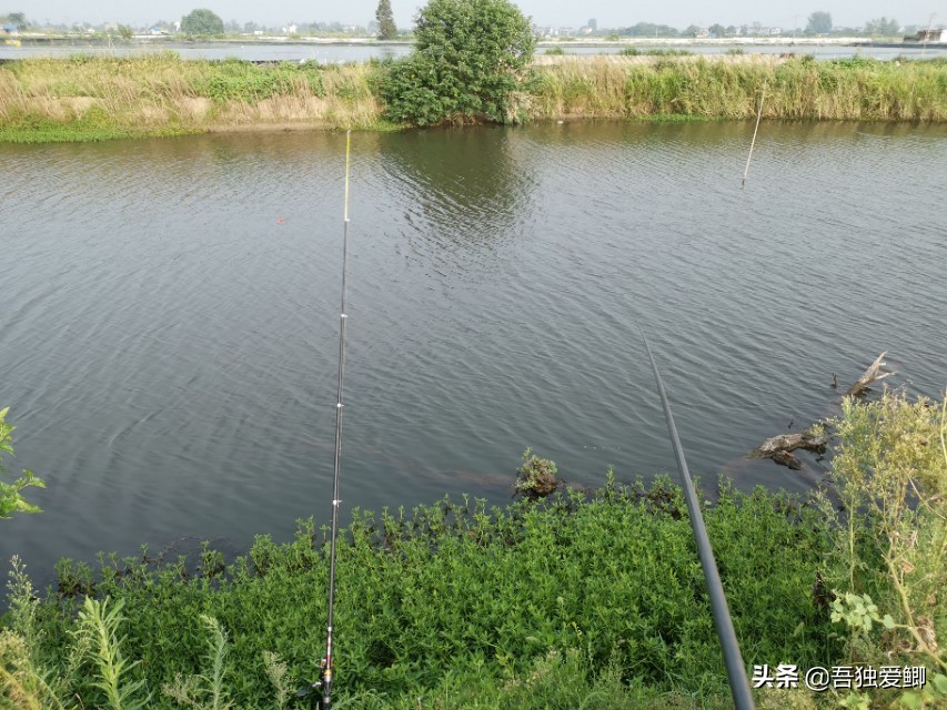 为什么大板鲫吃口很轻,大板鲫一般多少度吃口