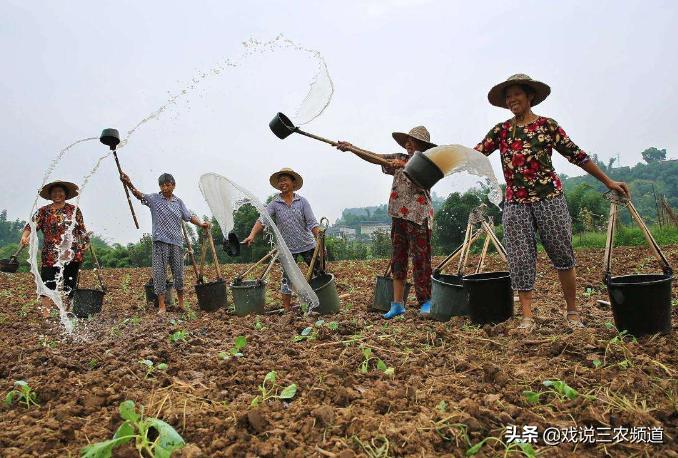 毁约遇到毁约怎么处理,毁约怎么退钱