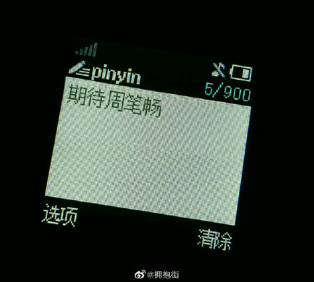 隆鼻张柏芝鼻型,浪姐张柏芝新消息