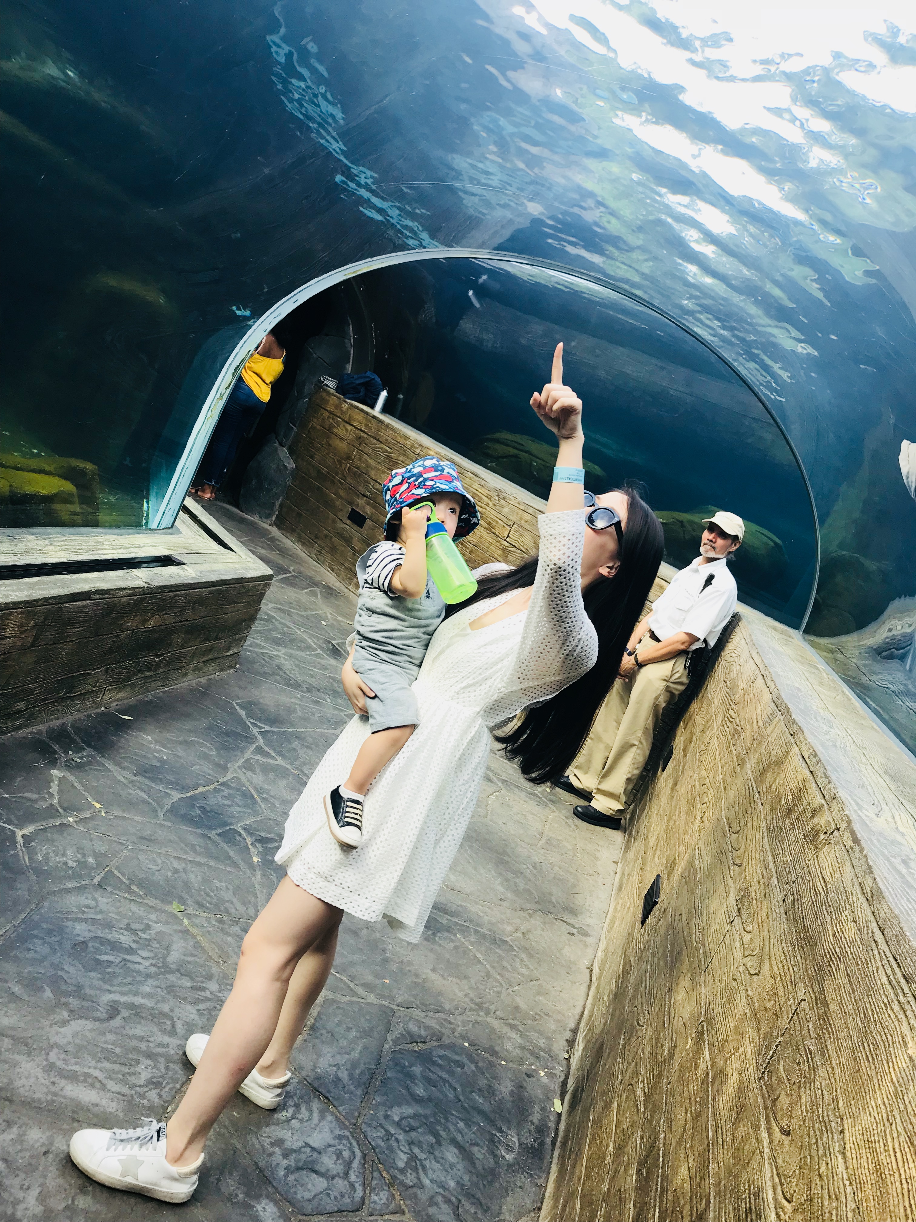 芝加哥周边自驾游,芝加哥郊外攻略