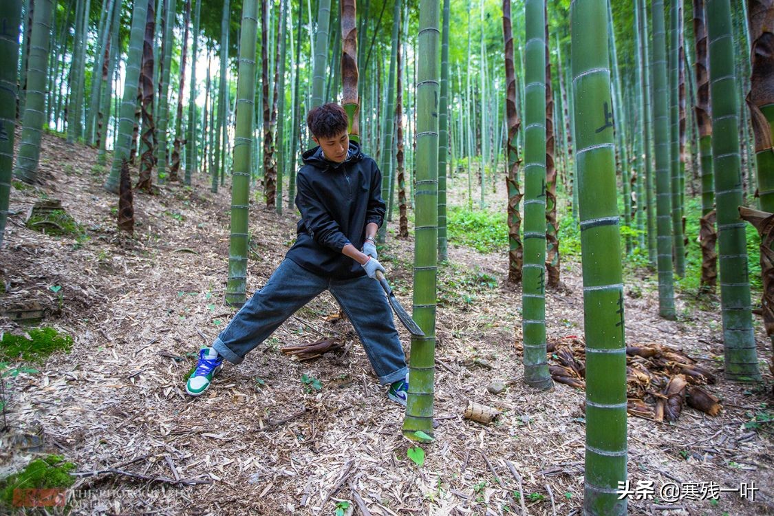五一杭州旅游住宿最佳方案,五一旅游杭州出发3天最佳去处