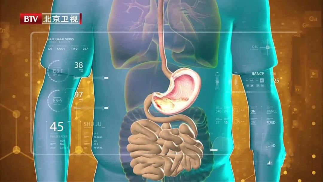 肠鸣闹肚子恶心,肠鸣频繁是什么原因引起的