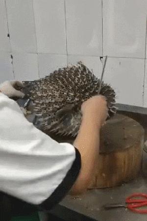 男的练瑜伽搞笑,男的去瑜伽店学瑜伽搞笑视频