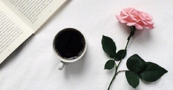 怀孕6-9个月胎儿讲故事,怀孕6个月的故事