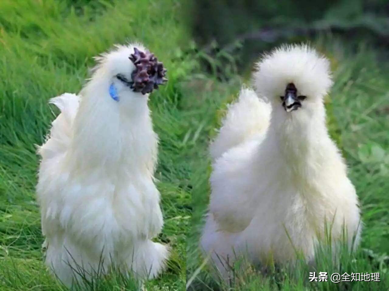 江西吉安市有几个县,江西吉安在建高速公路