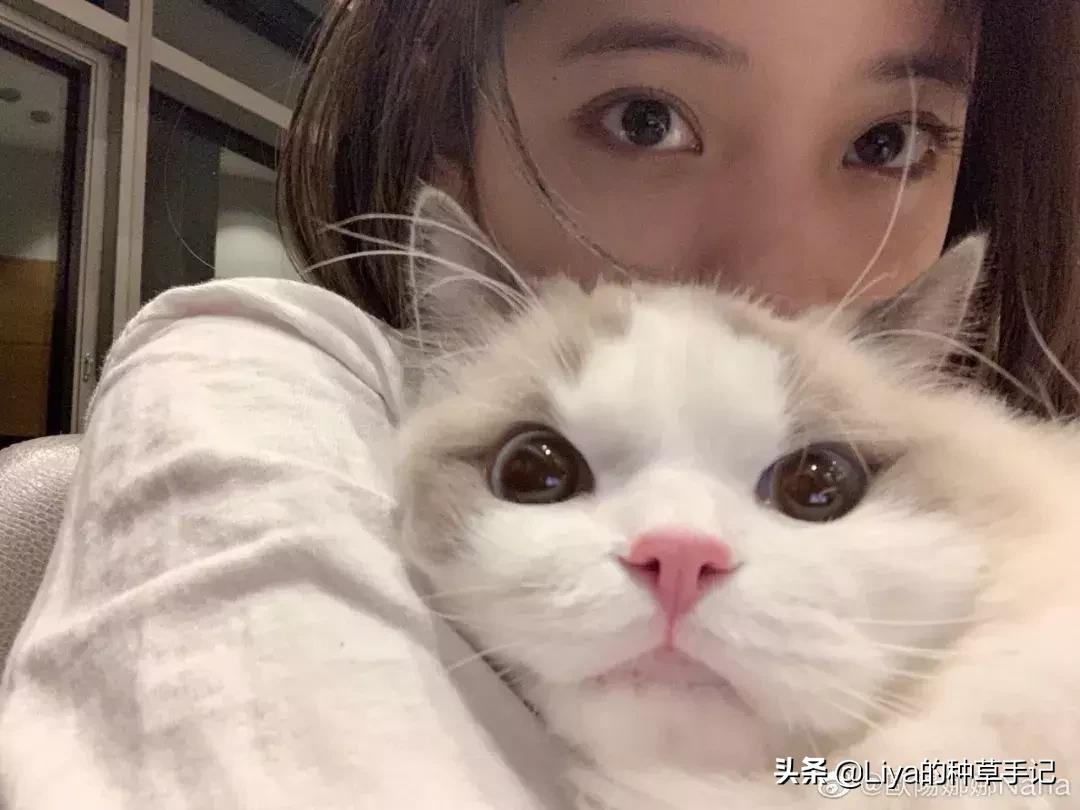 拍照姿势模板,最近很火的拍照方法模板