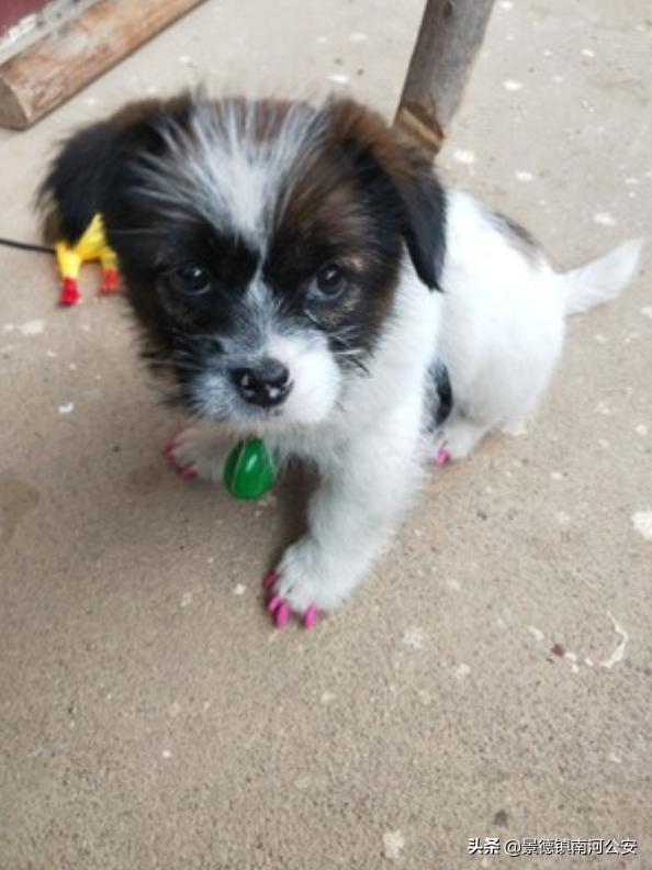 “割声带、截肢、电击,当爱变成我的噩梦”