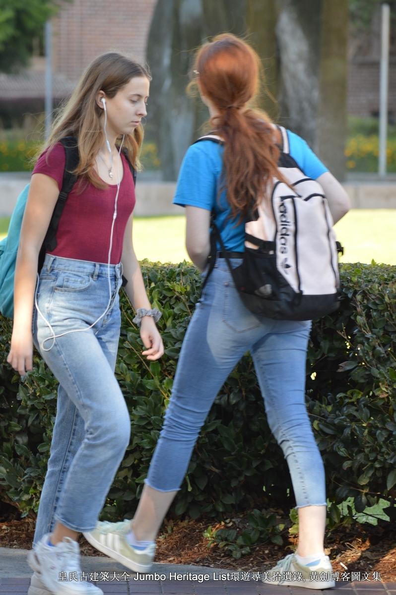 第1852回:欧洲象征主义先驱,前拉斐尔派罗塞蒂