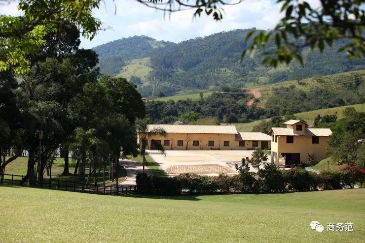 f1前掌门人对外宣布当爹,f1前总裁多少岁了