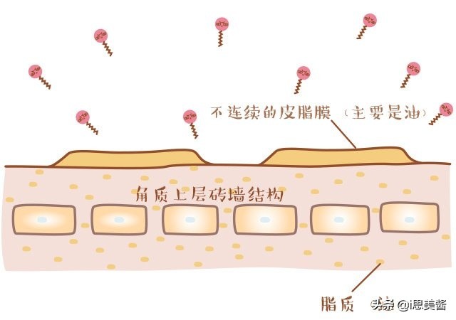 洗面奶怎么选成分,如何根据成分选洗面奶