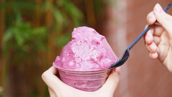 想见你，广州的50种甜