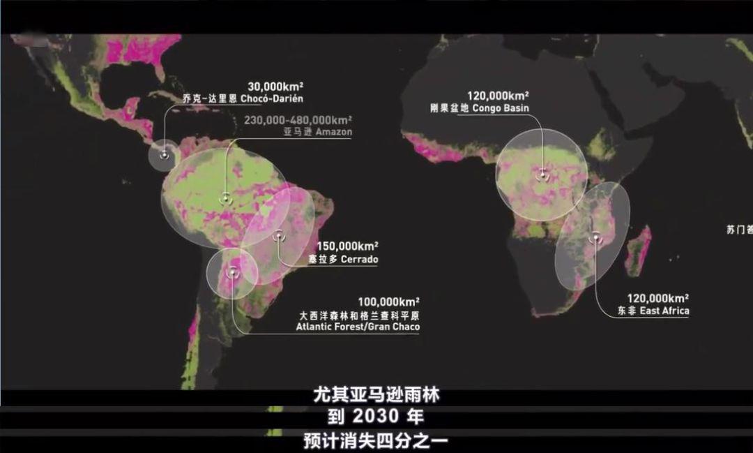 中国人吃肉对巴西有影响吗,中国人吃肉影响巴西雨林生态环境