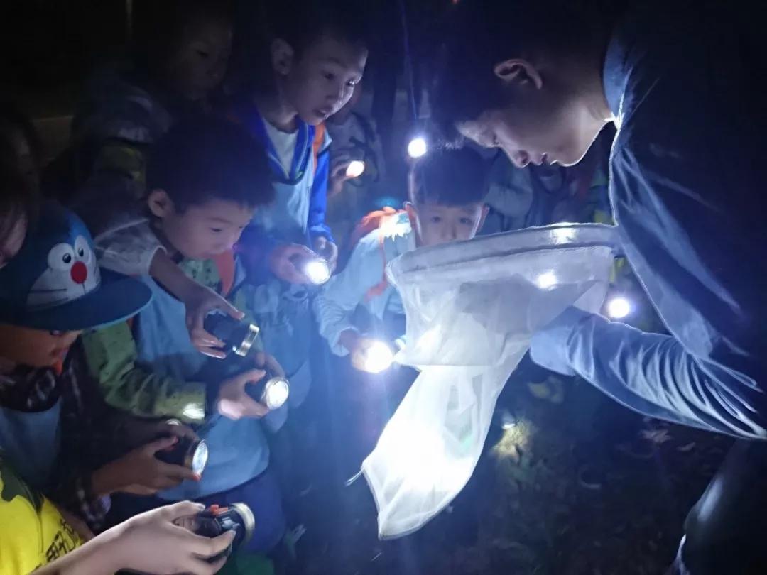 小恒视频课堂,小恒带你看芜湖