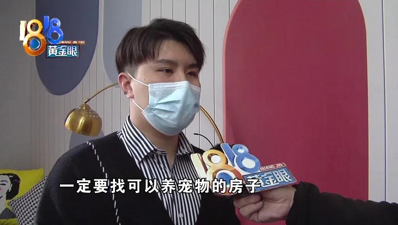 养了十多天的猫损失了几万元,偷偷养只猫最后全军覆没