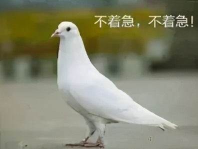 微信红包出了啥新功能,微信8.0红包新玩法