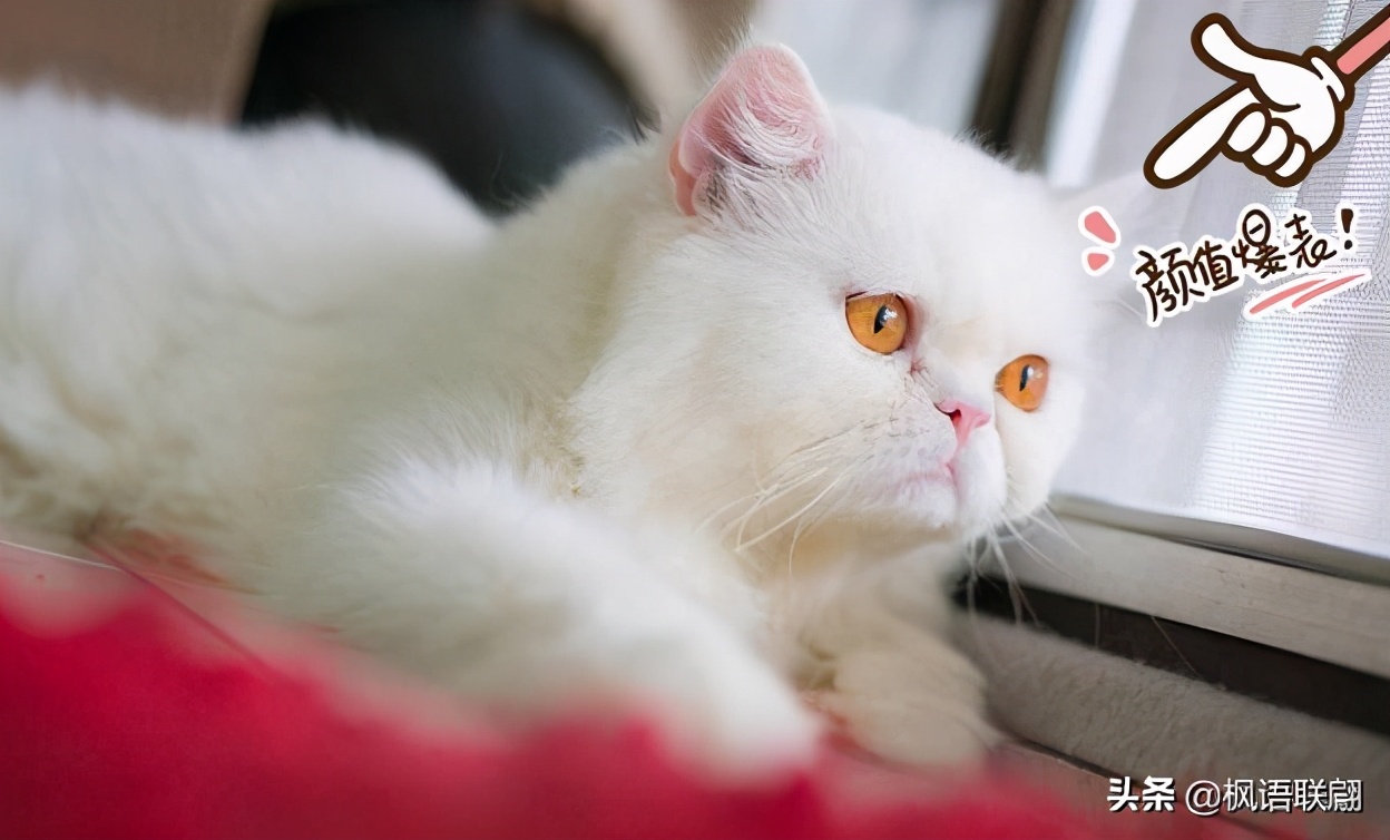 三个人的友谊被忽视怎么处理,三个人的友谊莫名其妙被排斥