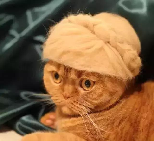 变废为宝绵羊毛衣,变废为宝旧毛衣