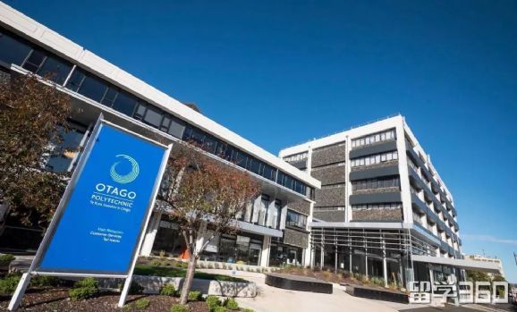 你可能不知道的行业,商务管理专业需要学什么