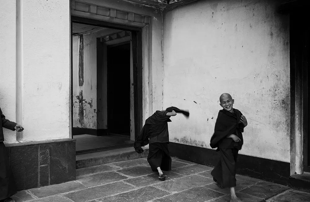 王员外图片,王员外摄影剪辑