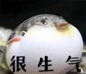 红腰子精华测评三代,第三代红腰子精华测评