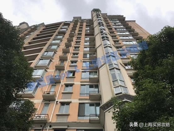 爱建园小区最好的楼盘,上海碧云爱建园复式