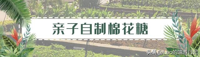 让孩子体验农耕生活的地方,儿童农耕生活体验