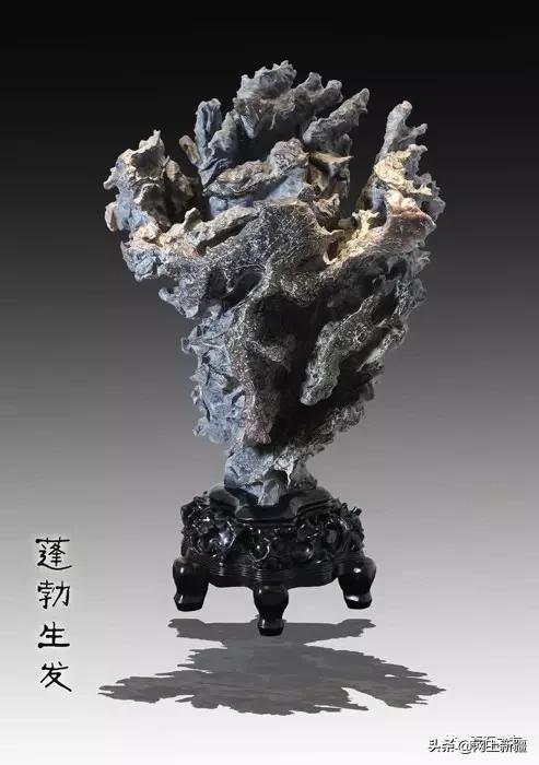 日本人也玩谷子,日本人玩玉吗