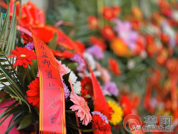 房地产保驾护航,蓝邦房地产