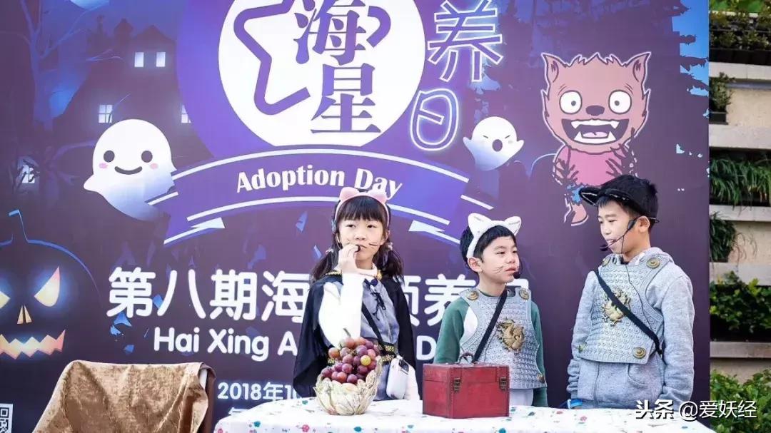 万圣节不给糖果就捣蛋男孩,万圣节不给糖就捣蛋儿童视频