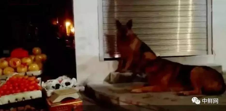 一个有温度的产品,一个有温度的创业人