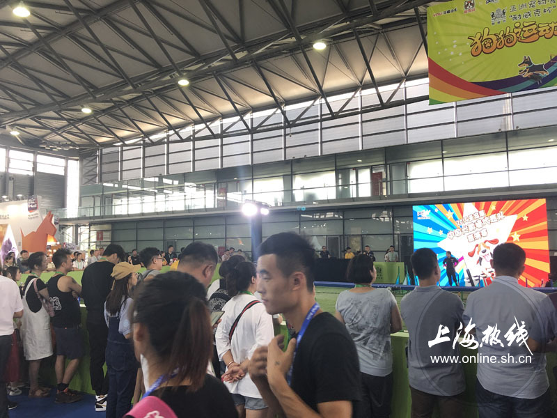 亚洲宠物展2022直播,亚洲宠物展会直播