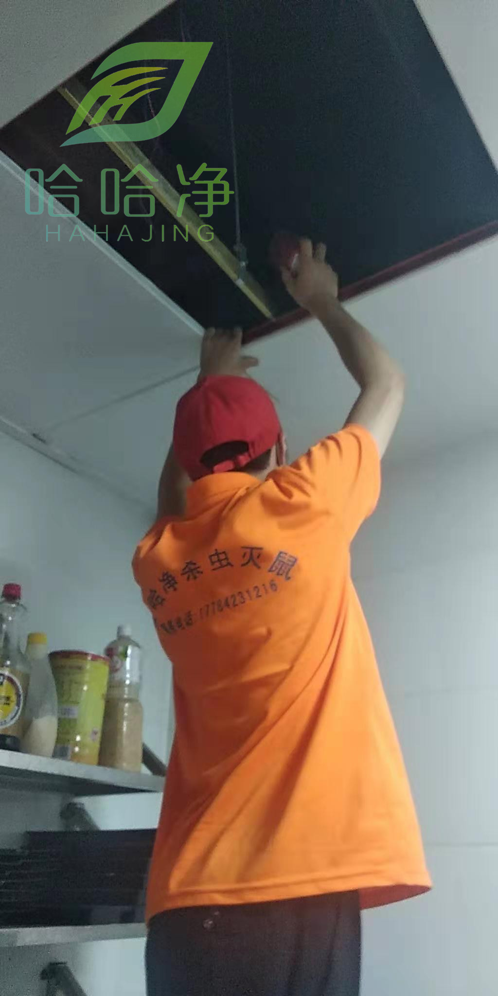 重庆消杀除四害公司,重庆除四害公司