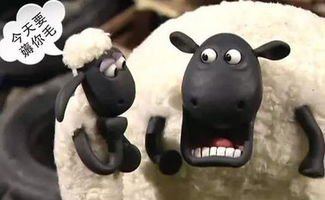 如何学习投资股票,怎样学习炒股最快的方法