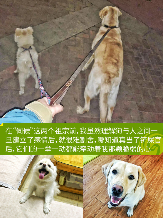 汽车联名款运动鞋,汽车品牌联名运动鞋