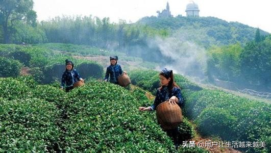 上海佘山国家森林公园日本雕像,上海佘山国家森林公园最新通告