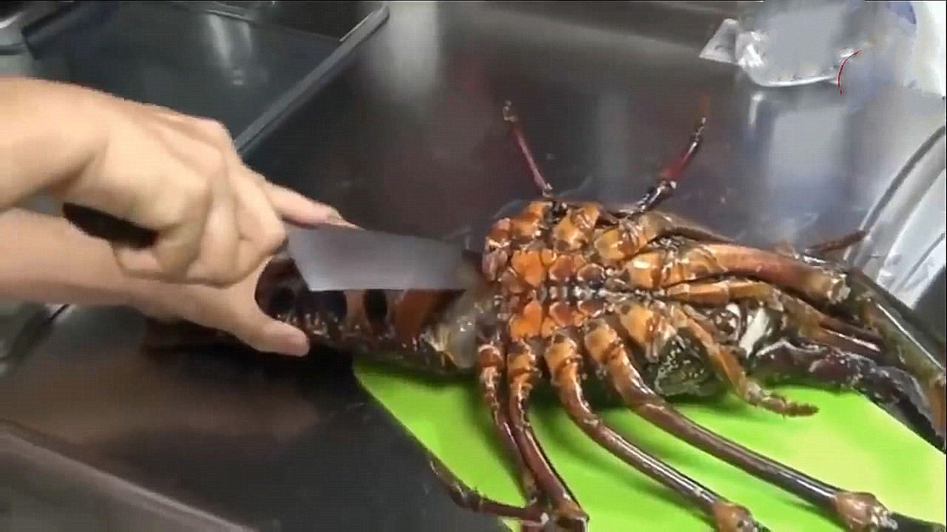 500元买两只大龙虾做秘制小海鲜,买一只大龙虾回来做麻辣大龙虾