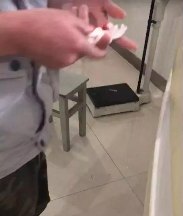 会咬鱼的观赏鱼,观赏鱼哪些不会咬人