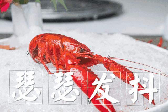 灏忛緳铏惧拰鎴夸环,灏忛緳铏炬埧浠峰灏戜竴骞虫柟