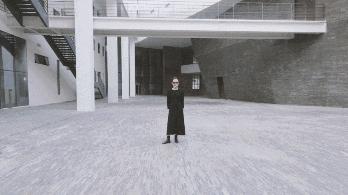 云台自拍杆支架三合一推荐,自拍杆专用相机