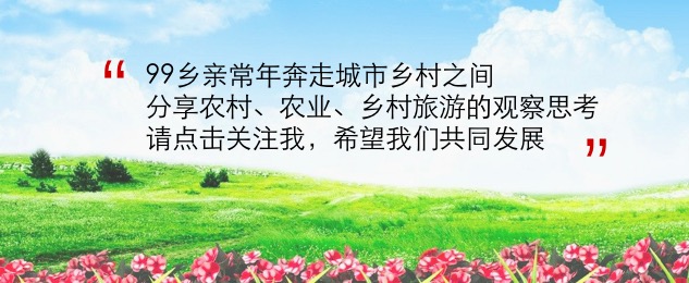 农民：朋友圈里还能卖农产土货吗？电商法出台了，有人被封了账号