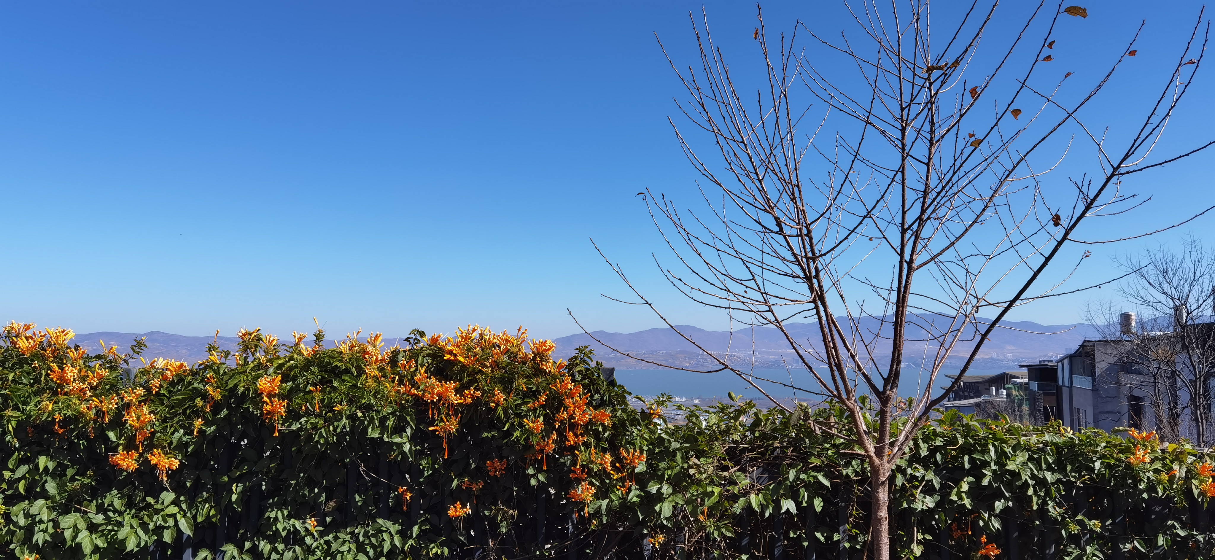 四线城市大理,大理最贵的房价是哪里