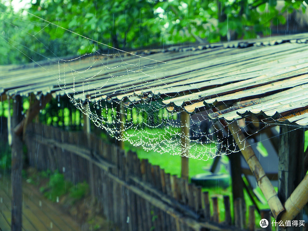 徕卡leicad-lux7相机测评,徕卡leicad-lux5测评