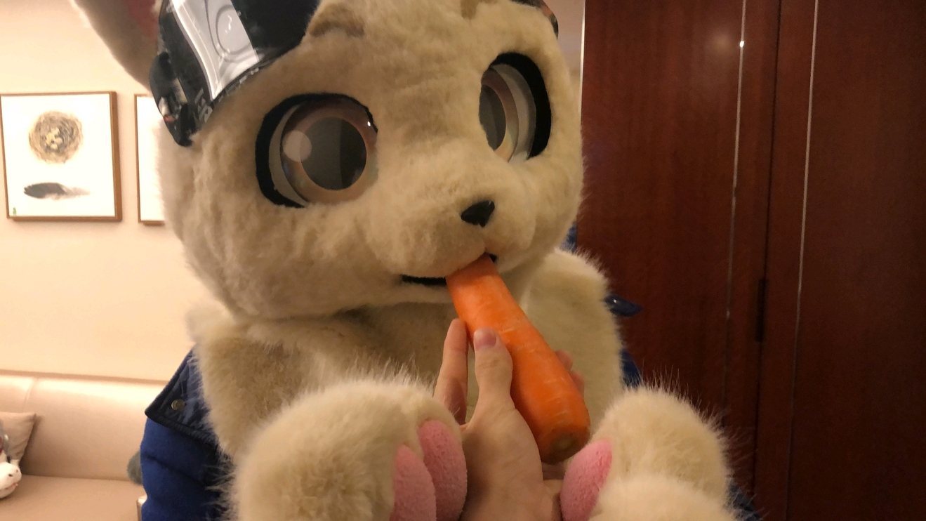 杂图系列（*男猛**系列：兽人furry第一弹）#1