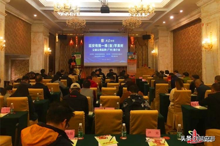 鍔涢噺2020,鍔涢噺2022