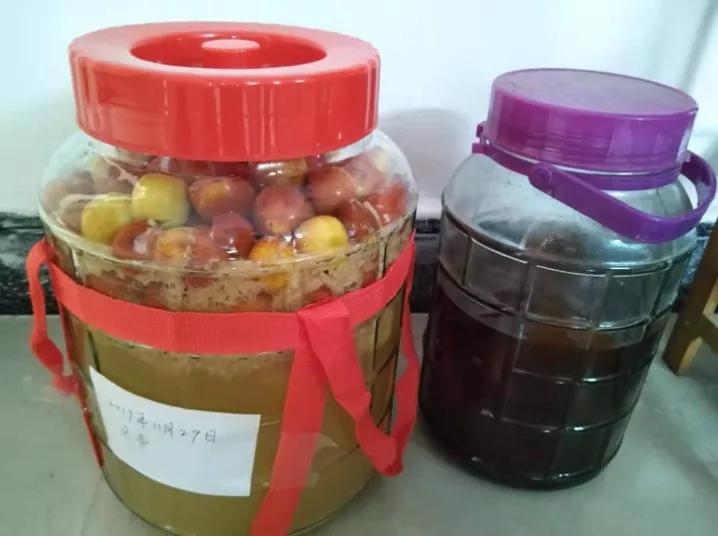 酵素真的能调理肠道吗,酵素治百病是真的吗