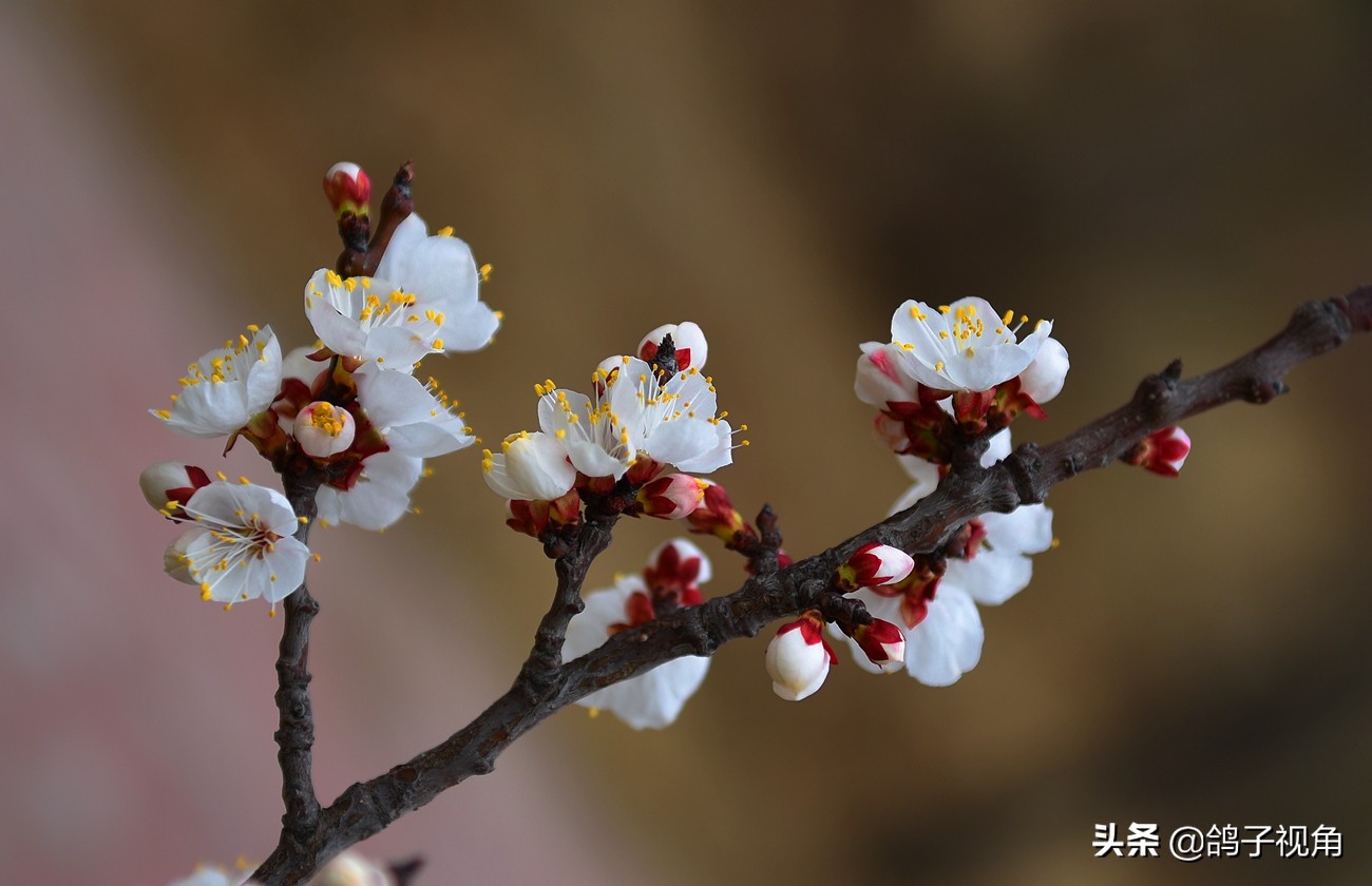 难容之事不妨付之一笑,生气时能够坦然一笑是一种大度