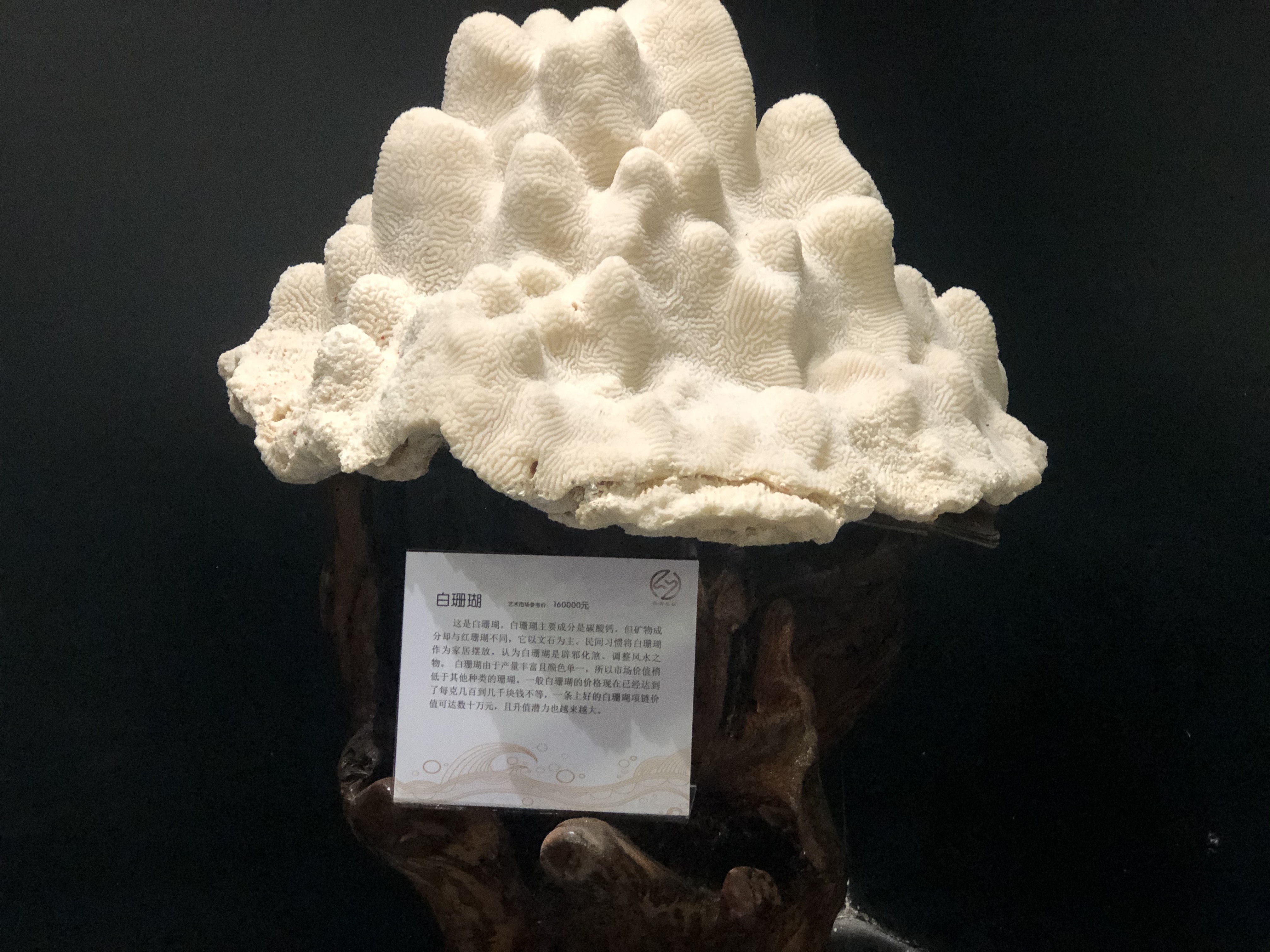 北海跟团游陷阱,低价北海旅游团套路