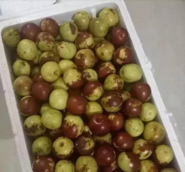 水果运输包装需注意什么,水果发快递包装规范