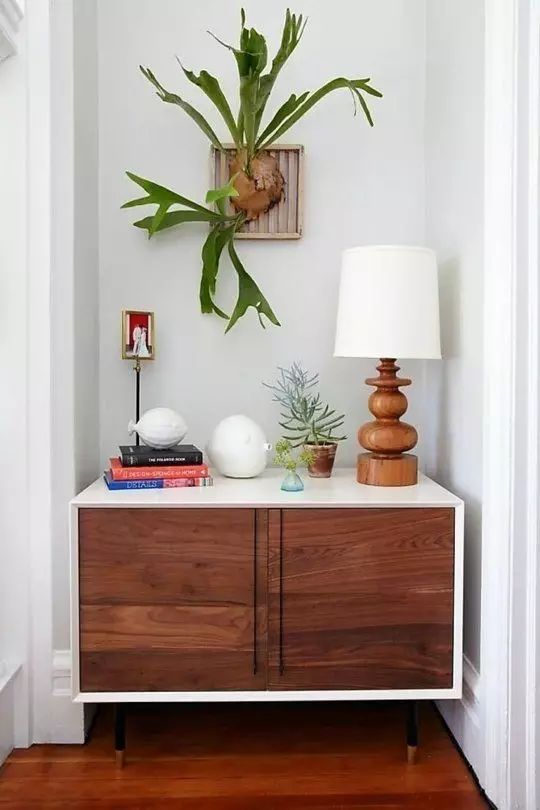 置爱|植物1.0是种在盆儿里的,植物2.0都趴在墙上的