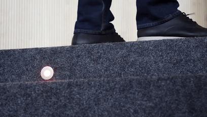 潜艇里杀蟑螂、人类猫语十级，今年的搞笑诺贝尔奖来了